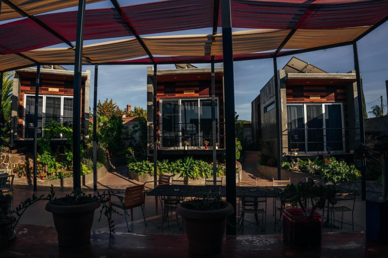 Entre Vides Valle De Guadalupe Exterior photo